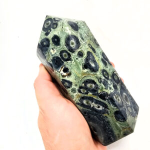 Kambaba Jasper Polished Point