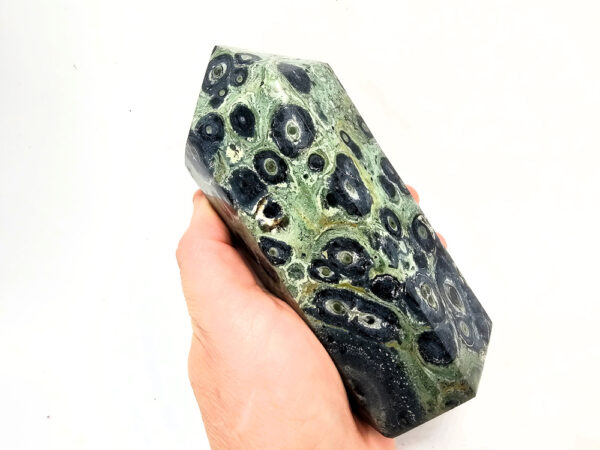 Kambaba Jasper Polished Point