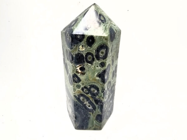 Kambaba Jasper Polished Point A (820g) - Image 2