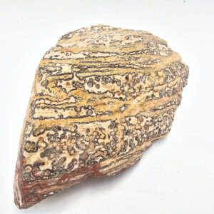 Leopard Skin Jasper Rough Large