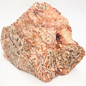 Leopard Skin Jasper Rough Large