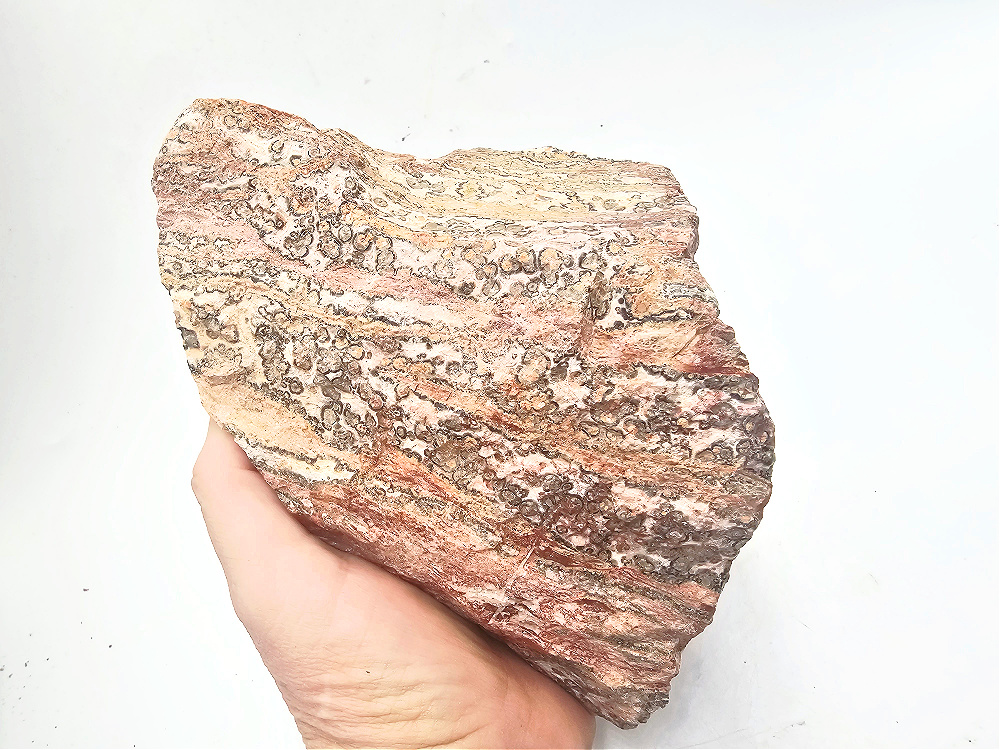 Leopard Skin Jasper Rough Large Chunk A (1.46kg) Leopard Skin Jasper Rough Large Chunk A (1.46kg) - Image 2