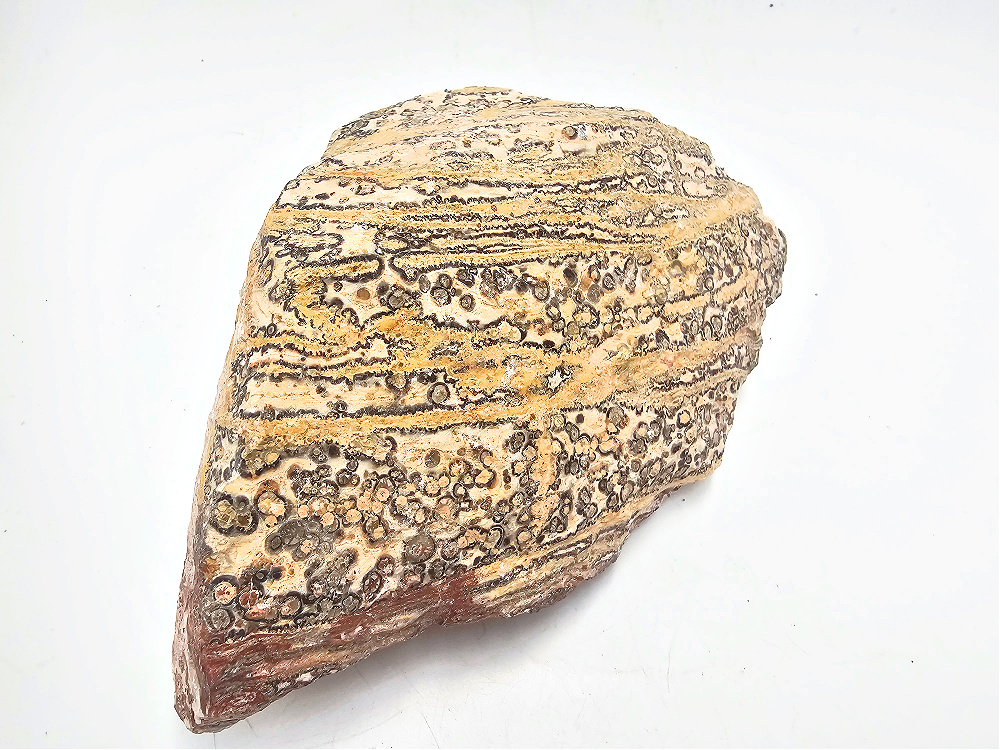 Leopard Skin Jasper Rough Large Chunk A (1.46kg) Leopard Skin Jasper Rough Large