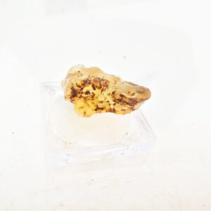 Natural Honey Amber Specimen C (RARE) (1.5g)