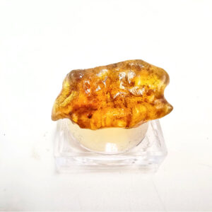 Natural Honey Amber Specimen A (RARE) 2.5g