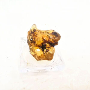 Natural Honey Amber Specimen