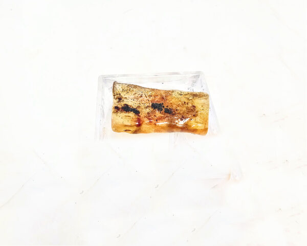 Natural Honey Amber Specimen