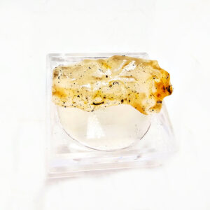 Natural Honey Amber Specimen