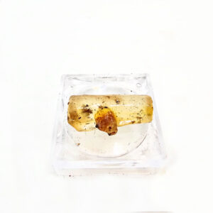 Natural Honey Amber Specimen