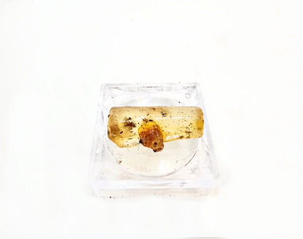 Natural Honey Amber Specimen