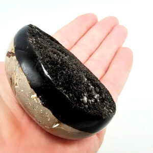 Septarian Geode