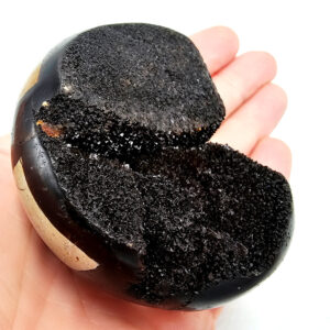 Septarian Geode