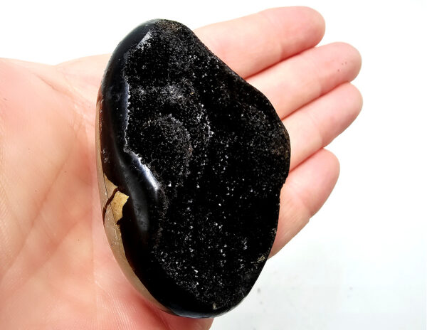 Septarian Geode