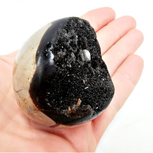 Septarian Geode