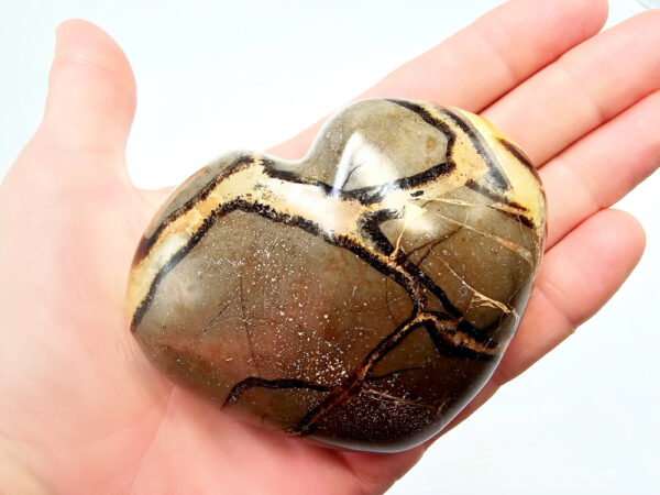Septarian Polished Heart
