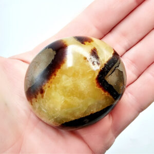 Septarian Polished Palm Stone
