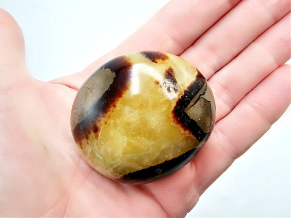 Septarian Polished Palm Stone