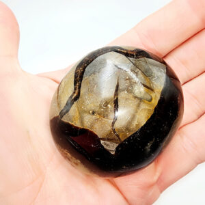 Septarian Polished Palm Stone