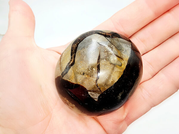 Septarian Polished Palm Stone
