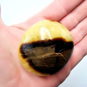 Septarian Polished Palm Stone