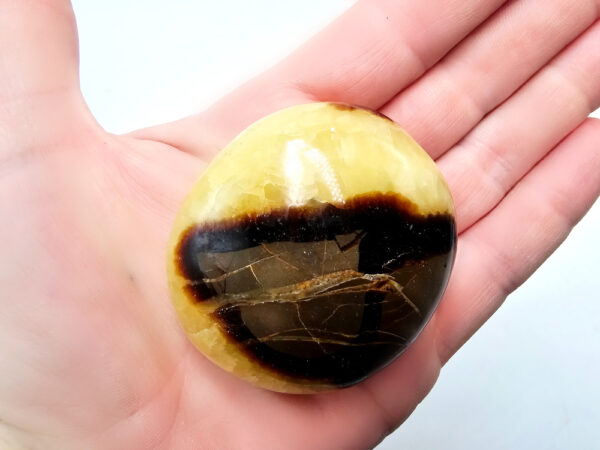 Septarian Polished Palm Stone