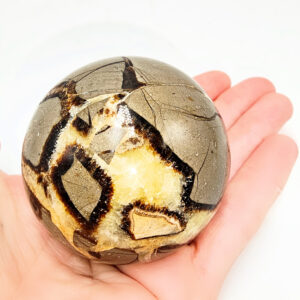 Septarian Sphere (Dragons Egg)