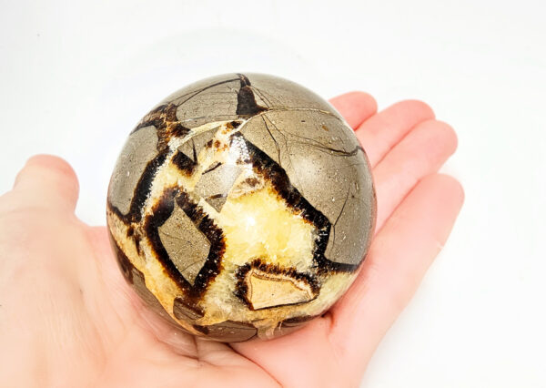 Septarian Sphere (Dragons Egg)