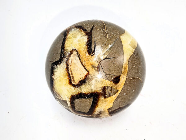 Septarian Sphere (Dragons Egg) B 316g - Image 2