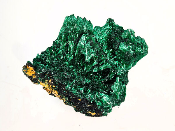 Silky Malachite Cluster