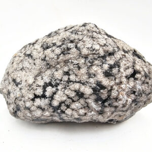 NEW Snowflake Obsidian Rough
