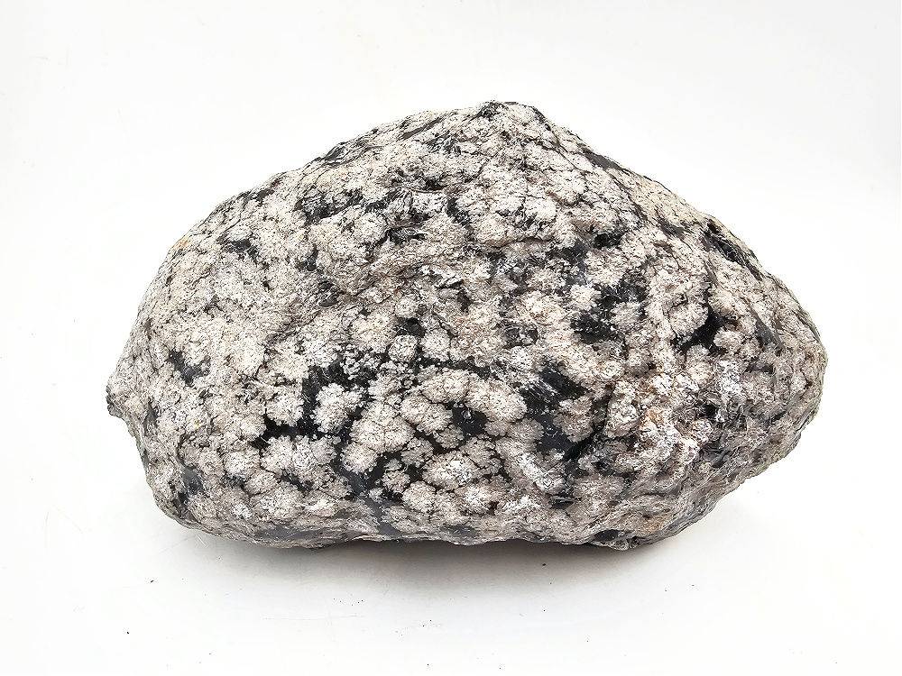 Snowflake Obsidian Rough B (1.25Kg) Snowflake Obsidian Rough