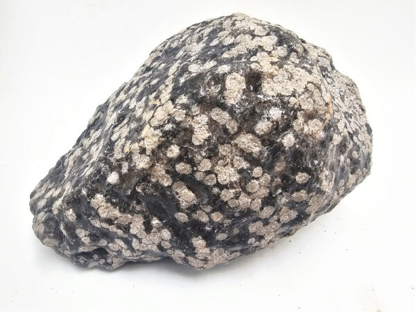 Snowflake Obsidian Rough C (1.84Kg) - Image 2