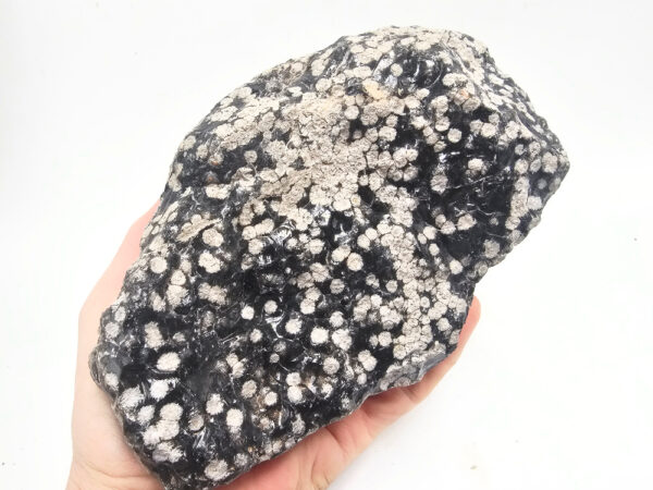 Snowflake Obsidian Rough C (1.84Kg)