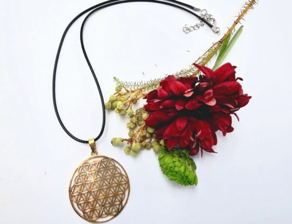Flower Of Life Necklace (Brass) - Image 2