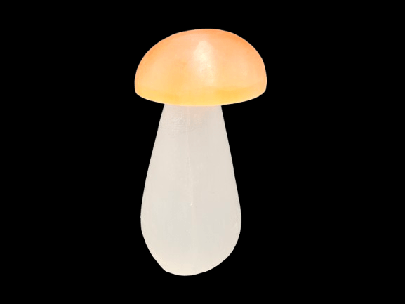 Selenite Mushroom (9cm) Selenite Mushroom (9cm)