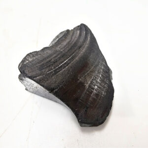 Shungite Noble Elite Rough