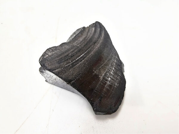 Shungite Noble Elite Rough