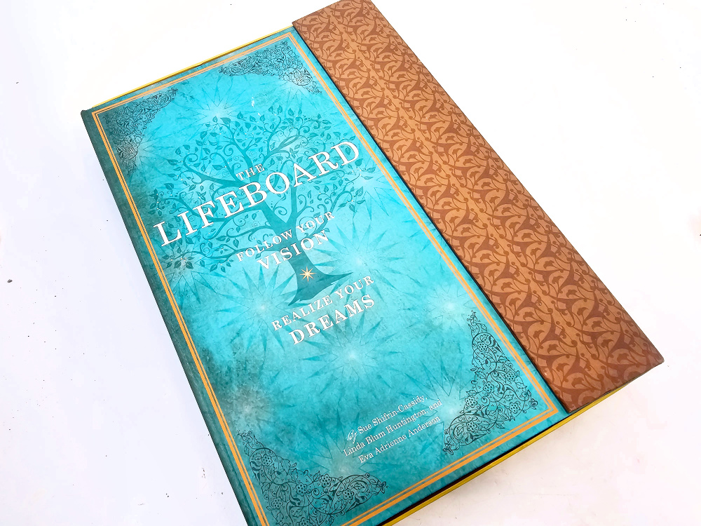 The Lifeboard (Sue Shifrin-Cassidy) The Lifeboard (Sue Shifrin-Cassidy)
