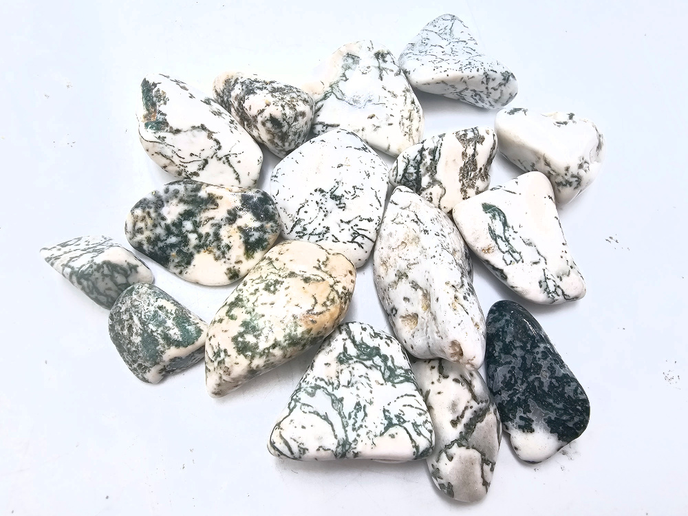 Tree Agate Tumble Stones Tree Agate Tumble Stones