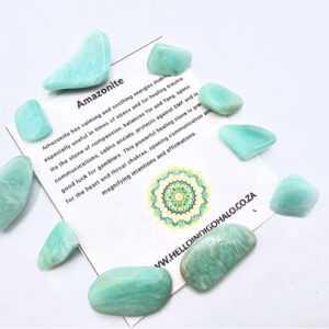Amazonite Tumbled Stones Mini's 10s
