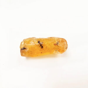 Natural Honey Amber Specimen