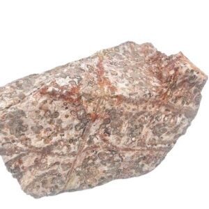 Leopard Skin Jasper Rough Large Chunk A (902g)