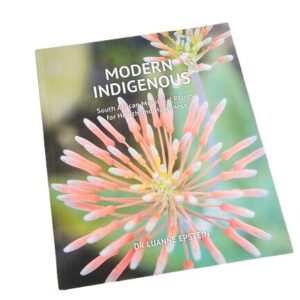 Modern Indigenous book