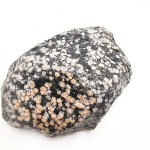Snowflake Obsidian Rough A (1.18kg)