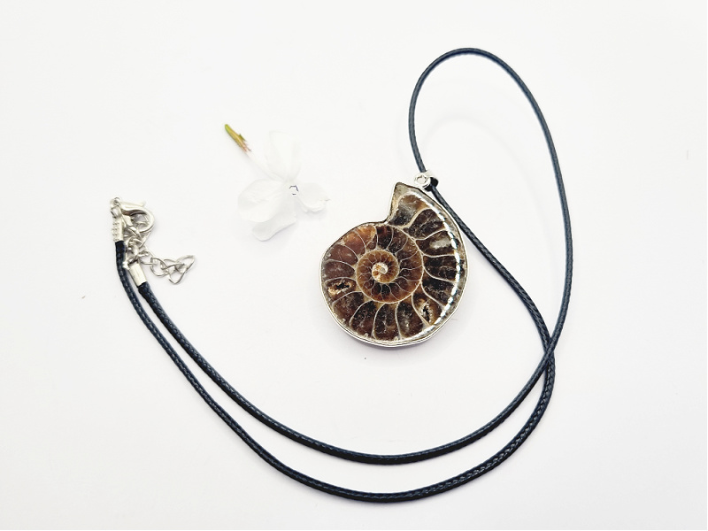 Ammonite Necklace (Strength & Stability) Ammonite Necklace (Strength & Stability) - Image 2