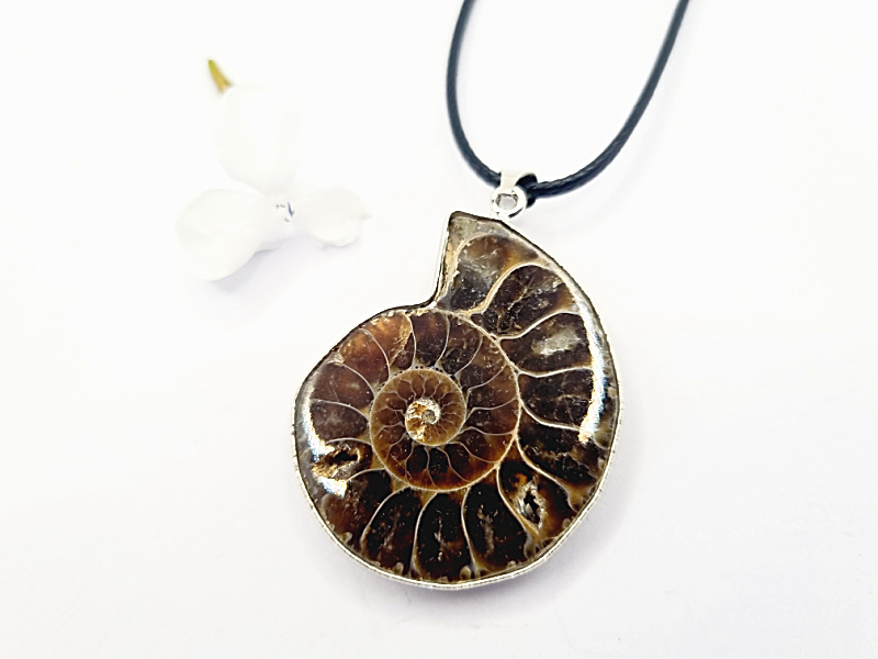 Ammonite Necklace (Strength & Stability) Ammonite Necklace on black string