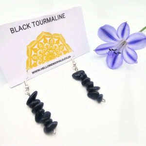 Black Tourmaline Chips Earrings