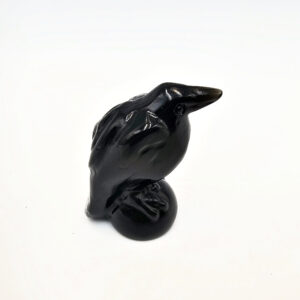 Black Obsidian Raven