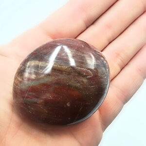 Petrified Wood Palm Stone B (84g)