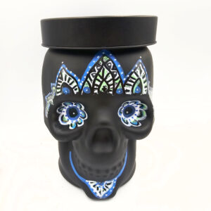 Skull Storage Container
